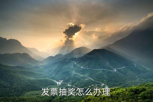 山東發(fā)票搖獎如何參與，怎樣參入威海國稅發(fā)票抽獎