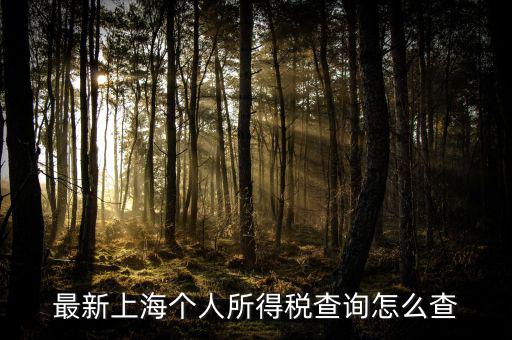 上海個(gè)人所得稅如何查詢，最新上海個(gè)人所得稅查詢怎么查
