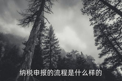 如何辦理納稅申報，企業(yè)納稅申報的基本流程是什么啊