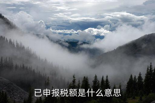 武漢稅務(wù)年報(bào)是什么意思，報(bào)告年度所得稅什么意思