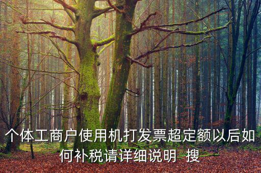 個體工商戶使用機打發(fā)票超定額以后如何補稅請詳細(xì)說明  搜