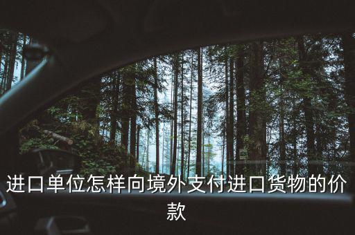 企業(yè)如何境外付款嗎，進(jìn)口單位怎樣向境外支付進(jìn)口貨物的價(jià)款