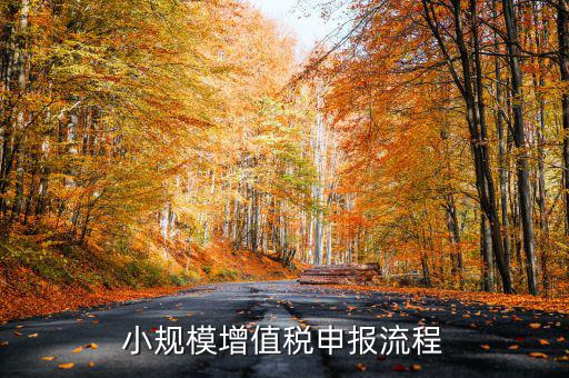 小規(guī)模納稅人 如何申報，小規(guī)模增值稅申報流程