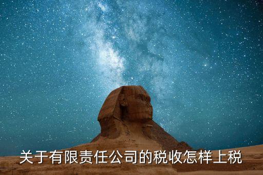 關(guān)于有限責任公司的稅收怎樣上稅