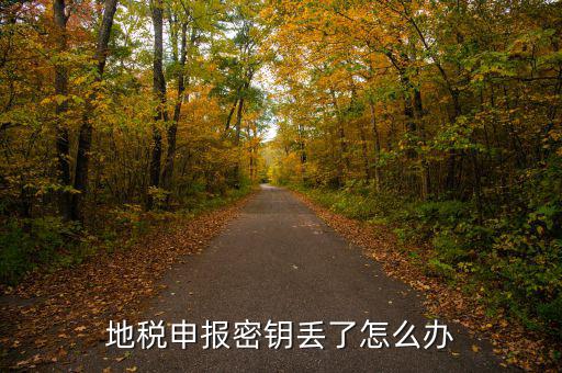 武漢地稅密鑰如何補(bǔ)辦，地稅報(bào)稅key掉了補(bǔ)辦需要什么手續(xù)要多少錢(qián)