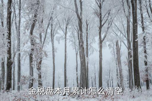 金稅盤如何清稅盤，金稅盤如何清卡解鎖