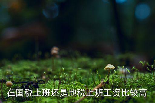 地稅局發(fā)展如何，我要考天津稅務(wù)局想問市區(qū)各地稅局和濱海地稅一分局哪個(gè)好呢