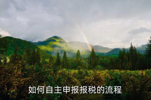 如何進行稅務(wù)申報，個體戶如何申報稅