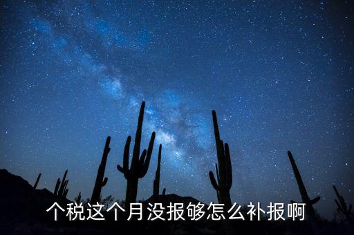 如何補(bǔ)報(bào)個(gè)人所得稅，個(gè)人所得稅報(bào)錯(cuò)了怎么補(bǔ)報(bào)