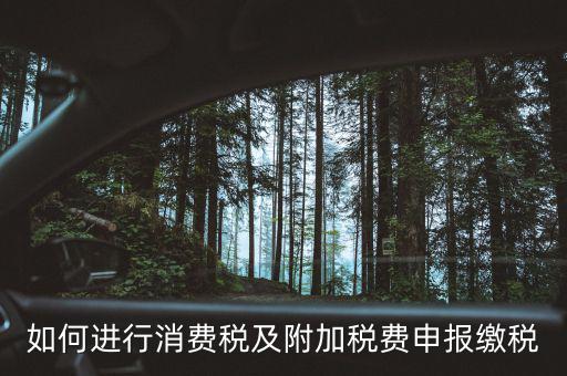 附加稅如何才能申報，如何進(jìn)行消費稅及附加稅費申報繳稅