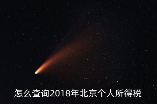 北京如何查納稅記錄，2018年北京個人所得稅繳納記錄查詢如何查