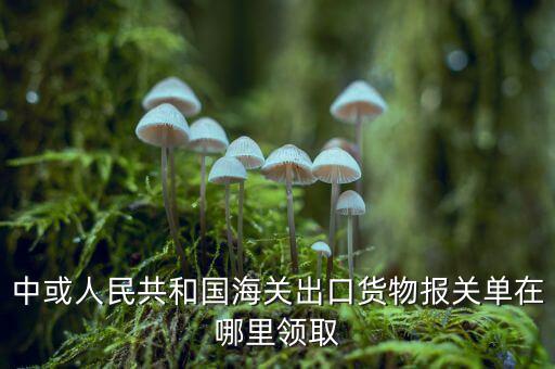 出口報(bào)關(guān)單如何取得，中或人民共和國(guó)海關(guān)出口貨物報(bào)關(guān)單在哪里領(lǐng)取