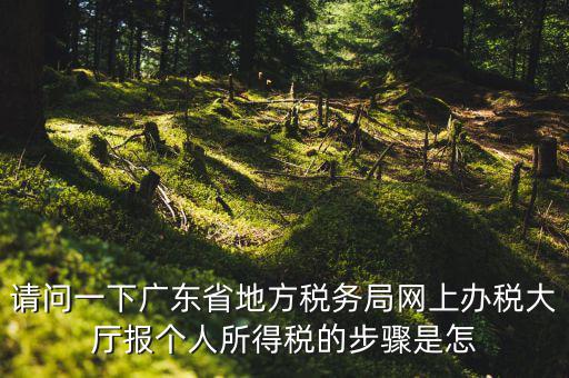 廣州地稅如何網(wǎng)上申報(bào)，想請(qǐng)教如何辦理廣州地稅網(wǎng)上申報(bào)
