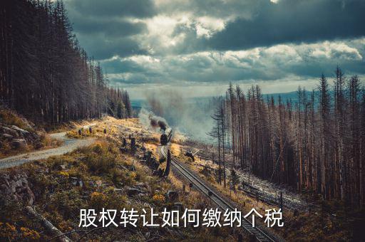 股權(quán)轉(zhuǎn)讓如何交稅，股權(quán)轉(zhuǎn)讓如何繳納個(gè)稅