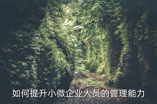 如何加強(qiáng)小型微利企業(yè)管理，如何提升小微企業(yè)人員的管理能力