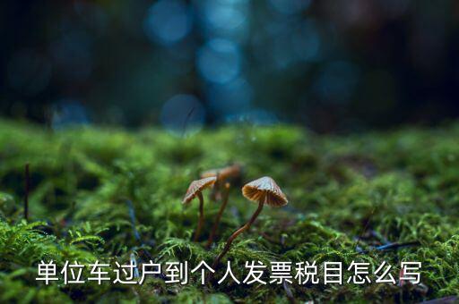 單位車過(guò)戶到個(gè)人發(fā)票稅目怎么寫(xiě)