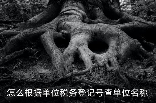 如何通過稅號查單位，知道納稅人識別號怎么查單位