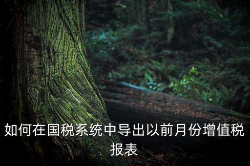 如何導(dǎo)出增值稅申報(bào)表，如何在國(guó)稅系統(tǒng)中導(dǎo)出以前月份增值稅報(bào)表
