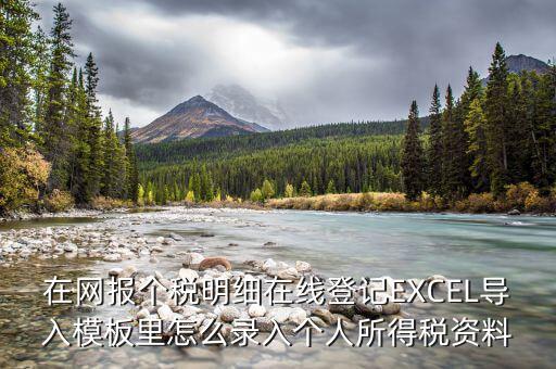 北京個稅明細申報如何導入，在網(wǎng)報個稅明細在線登記EXCEL導入模板里怎么錄入個人所得稅資料