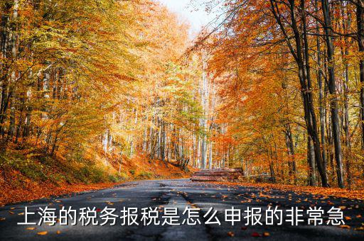 上海市國(guó)地稅如何申報(bào)，上海地稅是網(wǎng)上報(bào)稅嗎采取什么方式申報(bào)