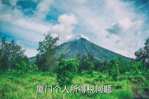 廈門企業(yè)個(gè)稅如何申報(bào)，廈門個(gè)人所得稅問題