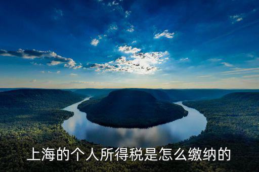 上海個(gè)人所得稅如何繳納，上海個(gè)人所得稅的繳納急