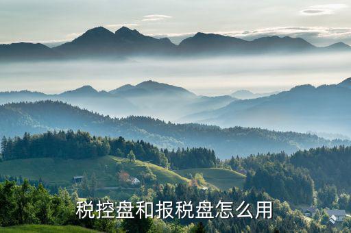 如何使用稅控盤報(bào)稅，求金稅盤如何在電腦上報(bào)稅操作流程