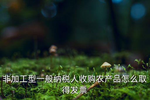 農(nóng)產(chǎn)品收購發(fā)票如何，農(nóng)產(chǎn)品收購發(fā)票如何開