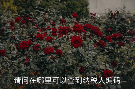 教您如何查詢納稅人代碼，忘記稅務(wù)征收機(jī)關(guān)代碼