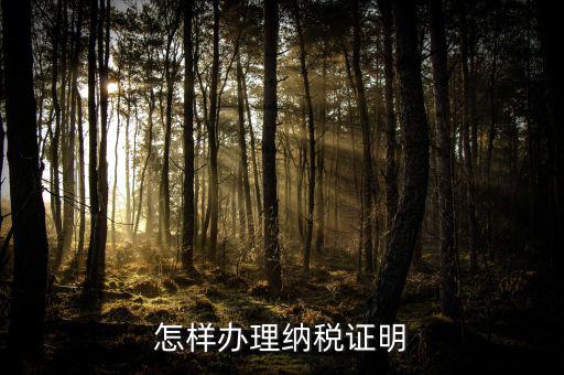 廈門如何做假的納稅證明，怎樣辦理納稅證明