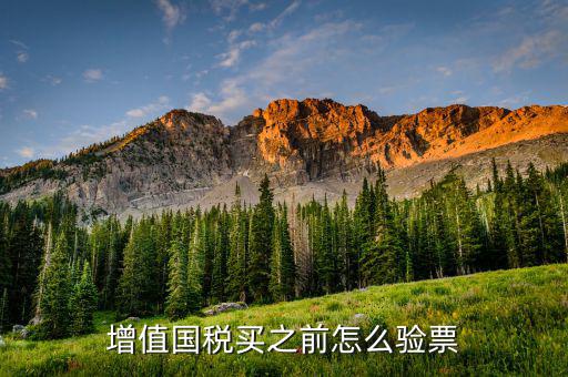 稅控盤如何驗(yàn)票，增值國稅買之前怎么驗(yàn)票
