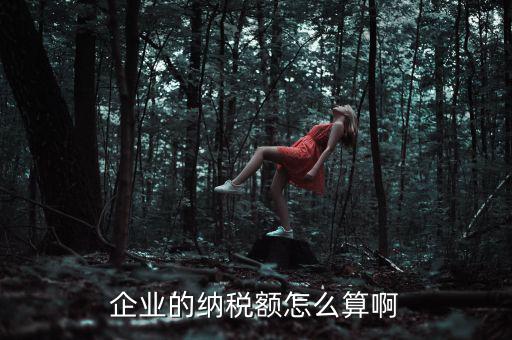 企業(yè)納稅如何計(jì)算，企業(yè)的納稅額怎么算啊