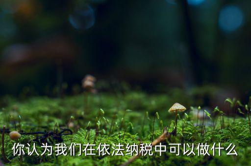 如何做到依法納稅，你認(rèn)為我們在依法納稅中可以做什么