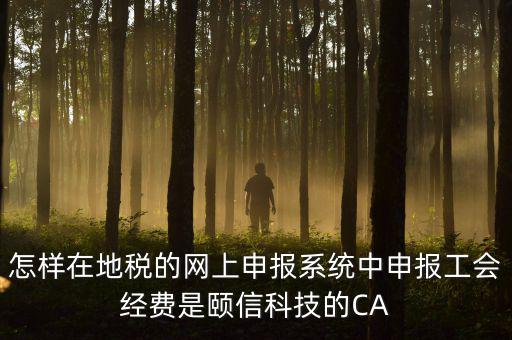 工會(huì)經(jīng)費(fèi)如何網(wǎng)上申報(bào)，怎樣在地稅的網(wǎng)上申報(bào)系統(tǒng)中申報(bào)工會(huì)經(jīng)費(fèi)是頤信科技的CA