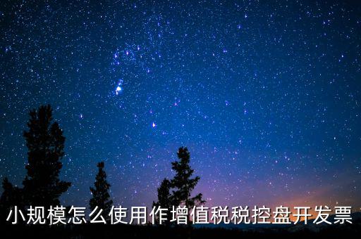 小規(guī)模怎么使用作增值稅稅控盤(pán)開(kāi)發(fā)票