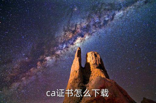 如何下載國(guó)稅ca證書(shū)，ca證書(shū)怎么下載