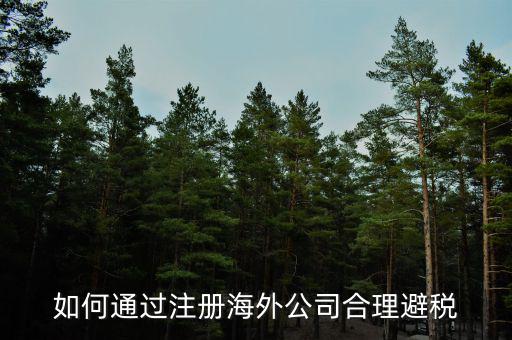 在境外注冊(cè)子公司如何避所得稅，離岸公司如何避個(gè)稅