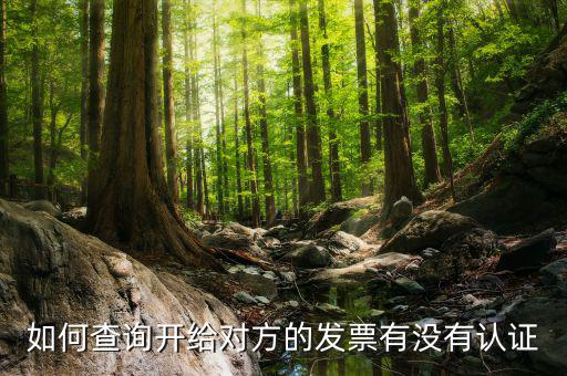 如何查詢發(fā)票認證信息查詢，如何查詢開給對方的發(fā)票有沒有認證