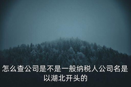 如何查詢企業(yè)是否是一般納稅人，怎么查公司是不是一般納稅人公司名是以湖北開頭的