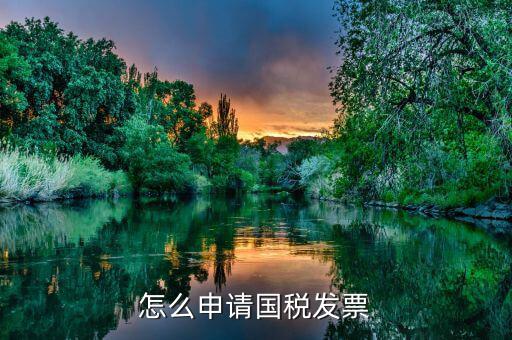 國稅如何申請發(fā)票，如何去國稅局開發(fā)票