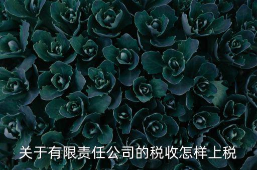 有限責(zé)任公司如何繳稅，有限責(zé)任公司是如何納稅的要繳納的稅種都有哪些