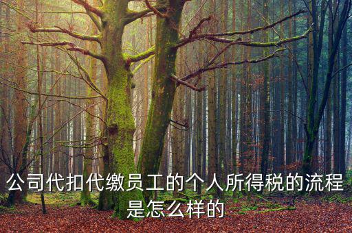如何代扣代繳個(gè)人所得稅，代扣代繳個(gè)人所得稅