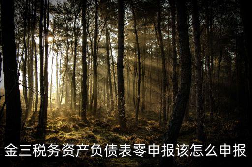 金稅三期如何零申報，金三稅務系統(tǒng)零申報需要報什么