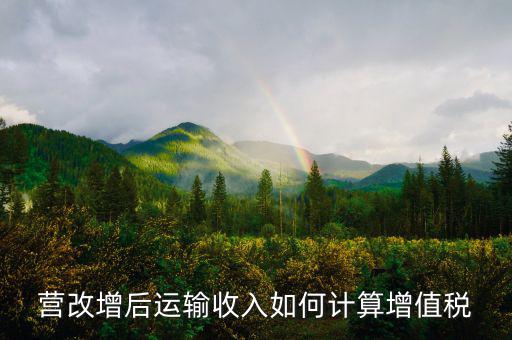 運輸業(yè)增值稅如何計算，道路運輸業(yè)的一般納稅人增值稅如何計算