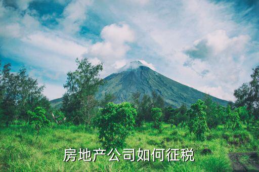 房地產(chǎn)企業(yè)如何繳納房產(chǎn)稅，房地產(chǎn)企業(yè)開發(fā)的商品房如何繳納房產(chǎn)稅