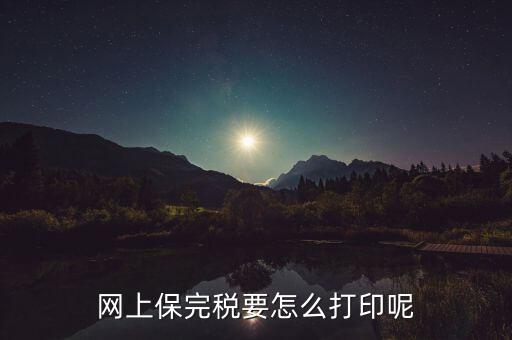 網上保完稅要怎么打印呢