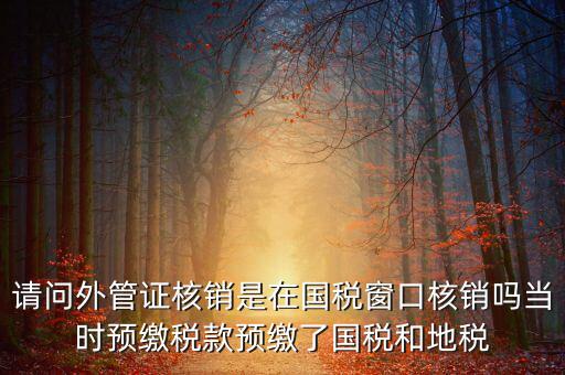 外管證如何核銷，發(fā)票已開外管證丟了怎么核銷