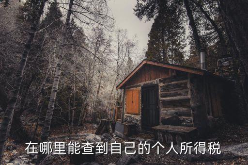 個(gè)人所得稅如何查，怎么查個(gè)人所得稅