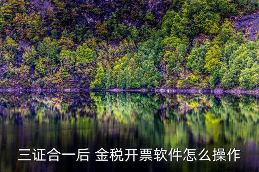 三證合一如何開票系統(tǒng)，怎么給三證合一的企業(yè)開增值稅發(fā)票