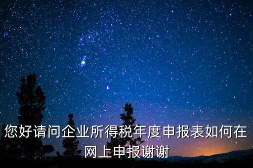 公司如何網(wǎng)絡(luò)申報(bào)表，新手請(qǐng)教企業(yè)所得稅年度納稅申報(bào)表在網(wǎng)上如何申報(bào)